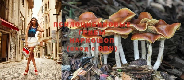 соль ск Лабытнанги