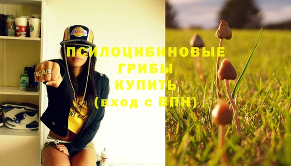 не бодяженный Ладушкин