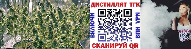 наркота  Лакинск  Дистиллят ТГК гашишное масло 